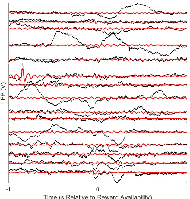 Figure 2: Raw LFP examples 