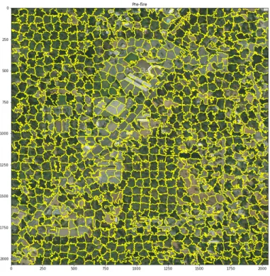 Fig. 8: SLIC Image segmentation example on Paradise pre-fire image.