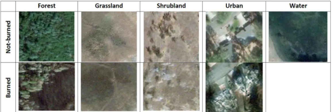 Fig. 12: Examples of land class. Photos from WorldView-3 of the Camp Fire.