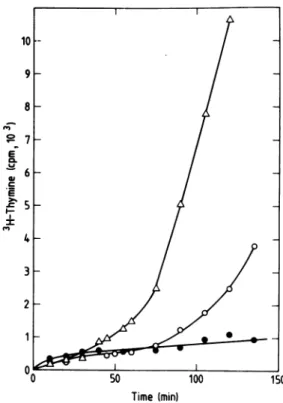 FIG. 4. Loss of plasmid pKN191 from strain LC343int500 after a temperature shift to 420C