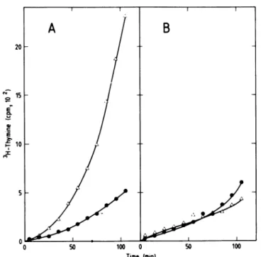 FIG. 6. Total DNA synthesis in the strains LC343int500(pBR322) (A) and LC343int5OO(pKN317) (B) after a temperature shift to 42°C