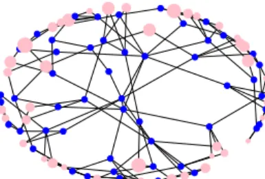 Fig. 5. Reference topology. Blue dots indicate B/F nodes, pink ones indicate endpoints