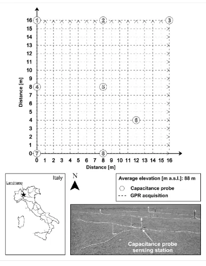 FIGURE 3. Study site for the GPR acquisition carried out over a 16m × 16m area, 1m spacing 