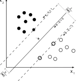 Figure 4. Example of a support vector machine (SVM) for the classification of two classes [29].