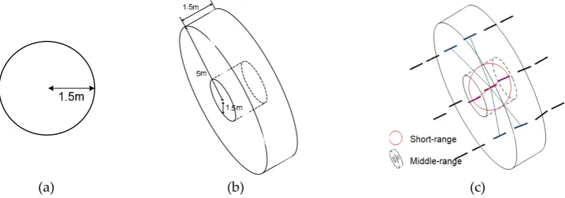 Figure 1. Neighboring systems: (a) for short-range graph, (b) for long-range graph, and (c) combined neighboring systems