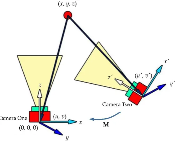 Figure 2. A schematic diagram of the dual cameras in the instant preview and analysis system of the ISCs