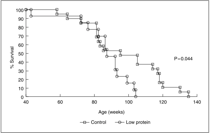 Fig. 1. Kaplan-Meier survival curves showing percentage survival of 19 control and 13low-protein-exposed female rats up to the age of 135 weeks.