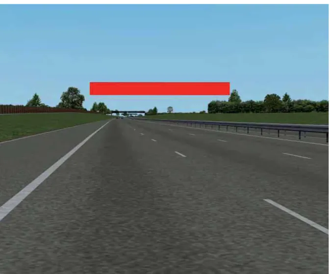 Figure 2: Red bar stimulus 