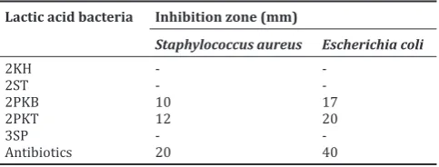 Fig. 1: Gram staining lactic acid bacteria isolated of Sui Wu’u