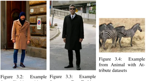 Figure 3.2: Example from Clothing with  at-tribute dataset