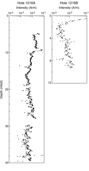 Figure F5. Archive-half magnetization intensities after AF demagnetization at a peak field of 20 mT fromHoles 1216A and 1216B.