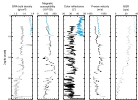 Figure F81216 on an mbsf depth scale after culling intervals given in Table On the basis of MST and color reflectance data alone, it is not possibleto reliably determine a depth offset between Hole 1216A and 1216B.The MS data from Hole 1216B have different