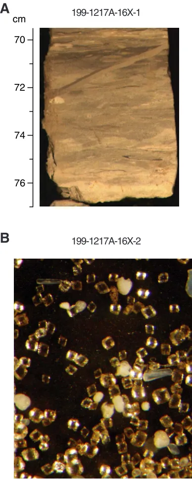 Figure F6. A. Close-up digital photograph of nannofossil chalk with clay and dolomite (Unit III; interval199-1217A-16X-1, 70–76 cm)