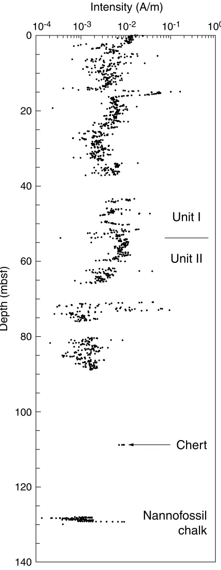 Figure F9. Archive-half magnetization intensities after AF demagnetization at a peak field of 20 mT fromHole 1217A