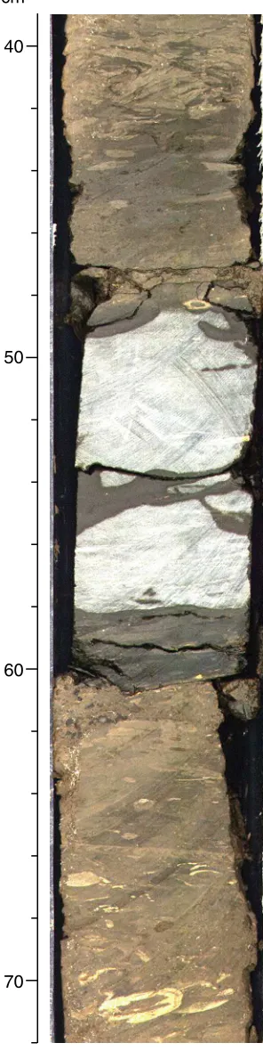 Figure F5. Close-up digital photograph of intact chert layer (48–61 cm) within Unit III (interval 199-1218A-25X-2, 40–72 cm).