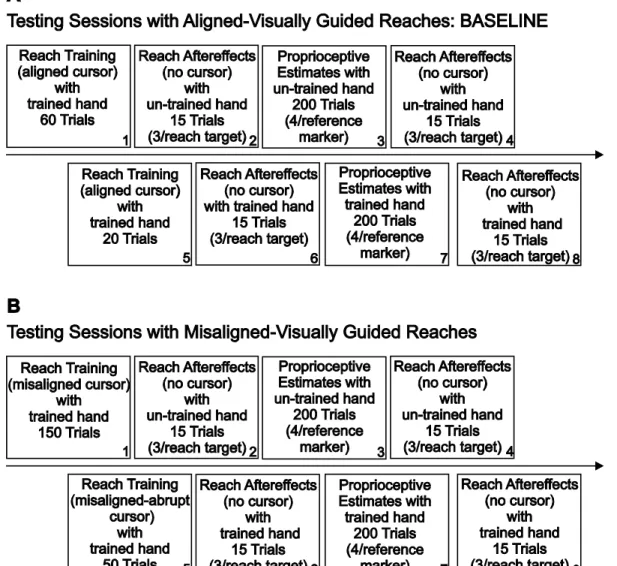 Figure 2.2 Breakdown of the testing sessions within each experiment. A Testing session(s) which provided baseline  measures of performance