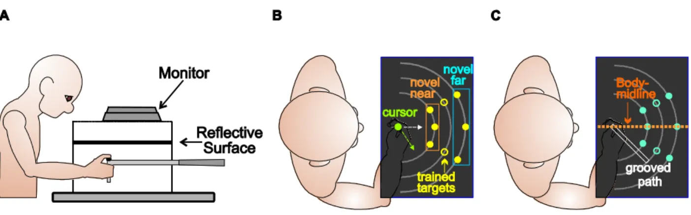 Figure  3 .1  Experimental setup and design. A Side view of the experimental setup. B, C Top view of experimental  surface visible to subjects