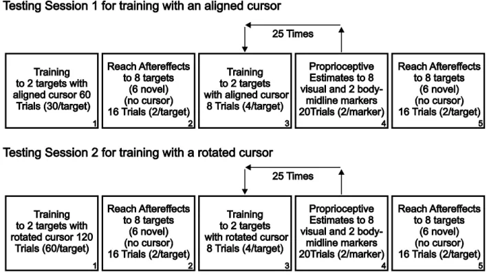 Figure 3.2  Schematic showing the order in which the tasks were completed within a testing session