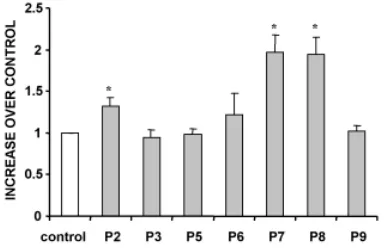 Fig. 4. Quantification of the effect of MK-801 on cell apoptosis atdifferent postnatal stages in the developing rat retina