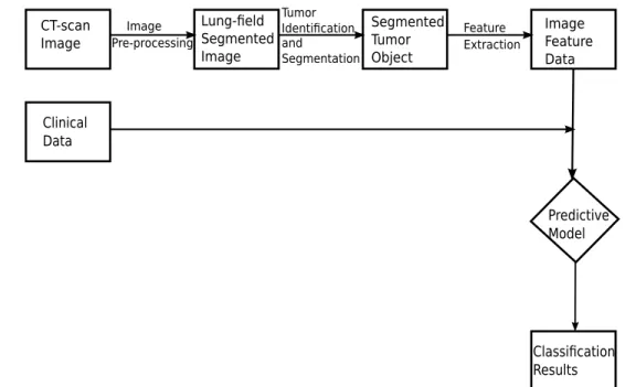 Figure 2.1: Schematic Representation of the Workflow Involved in Preparing Data for Pre- Pre-dictive Models.