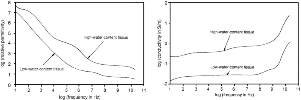 Figure 1.5: Comparison of the conductivity of high-water-content tissue such as muscle with low-water-content tissue such as fat as a function of frequency [15–18].