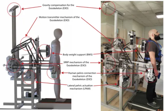 Figure 1.3: (L) A CAD rendering of AssistOn-GAIT showing all modules (R) Prototype of AssistOn-GAIT attached to a volunteer
