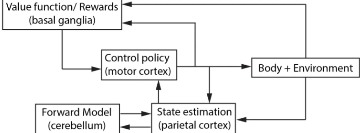 Figure 1.1: Simple schematic representation of motor control 