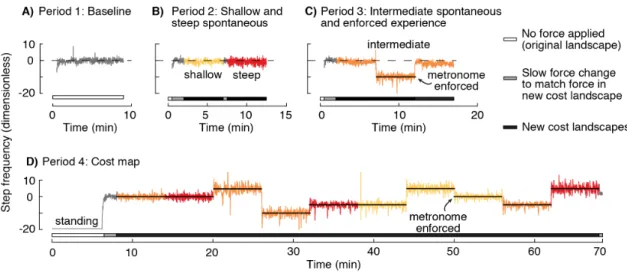 Figure 3.3: Experimental protocol 