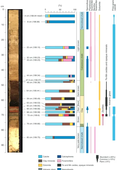 Figure F5. Close-up composite digital photograph of interval 199-1220B-20X-2, 0–91 cm, showing the P/Eboundary sequence