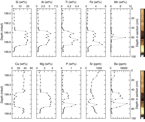Figure F22. Bulk-sediment data for the P/E boundary from Site 1220. Data are plotted with depth as the topof the sample interval