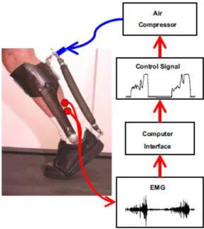 Figure 1.8: Updated PAFO design  with increased plantarflexion  torque by Kao et al. 2010 [39]