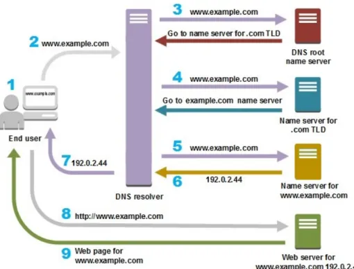 Figure 1. Overview of the Domain Name System (DNS).