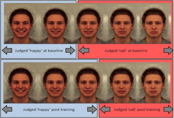 Figure 1. Sample of a face morph sequence: Unambiguous sad and happy  endpoints and intermediate stimuli are highlighted; the shift in classification of  ambiguous faces as happy rather than sad is also illustrated