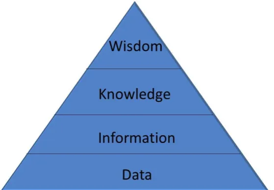 Figure 1: The information hierarchy  