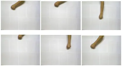 Figure 3.3 Gestures with plain paper background 