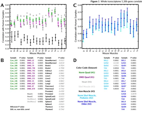 Figure 1Correlations of human transcriptome profiles relative to homologous mouse muscle profilesand tissue not primarily composed of muscle (black) from dataset H3