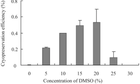 Fig. 2. Typical morphology of CMK6 ES cell colonies after subculturing, slow-cooling andvitrification.dures