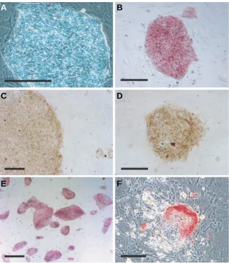 Fig. 5. Effect of incuba-