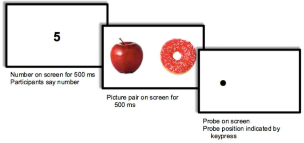 Figure 2. Visual illustration of stimulus pictures presented during the dot probe task