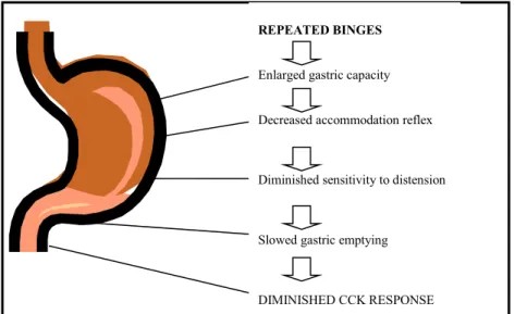 Figure 4. Compilation of gastrointestinal dysfunctions in BN 