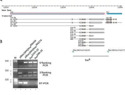Figure 2.A