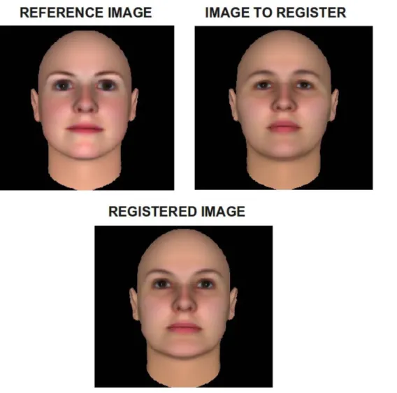 Figure 4. Controling the variables examined in the experiments. The appearance variable is isolated controling the structure part of the face by projecting the images of each face to a reference face image.