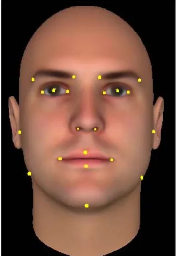 Figure 6. EigenFaces Method. Ten first Principal Components of the Dataset.