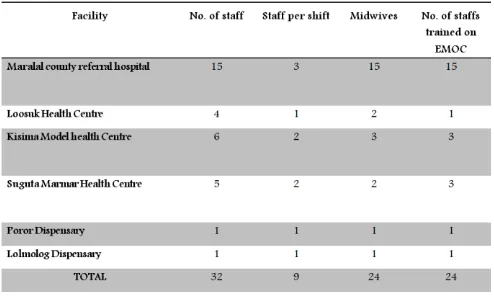 Table 3. Staffing of maternity unit 