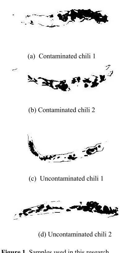Figure 1. Samples used in this research 