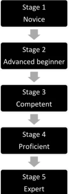 Figure 3: novice to expert staged approach 
