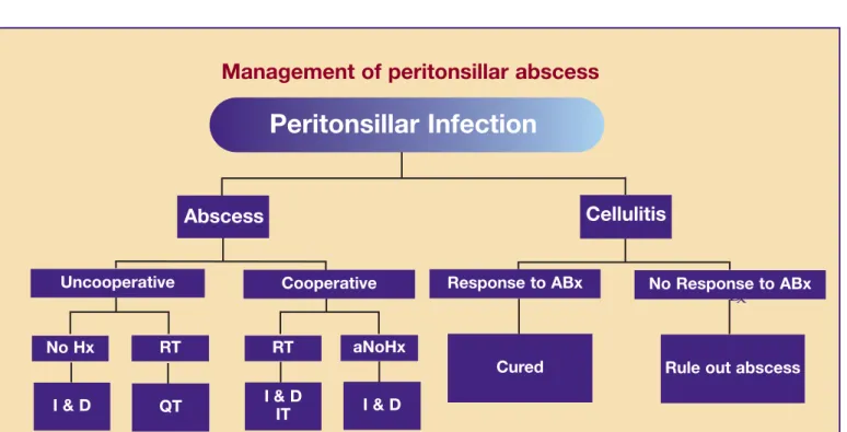 Figure 6. Management algorithm for peritonsillar abscess.