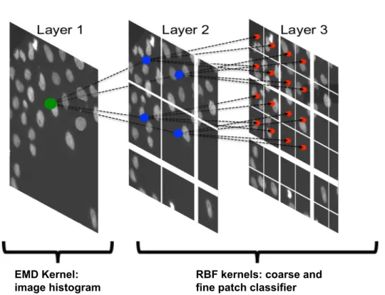 Figure 2.3: Illustration of the connection between the different layers of classifica- classifica-tion