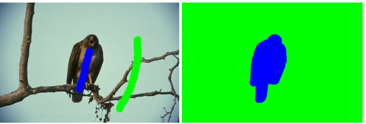 Figure 1.1: Interactive segmentation illustration. The left picture shows a image from the BSD300 [85] segmentation database and a set of foreground and background seeds a user might give