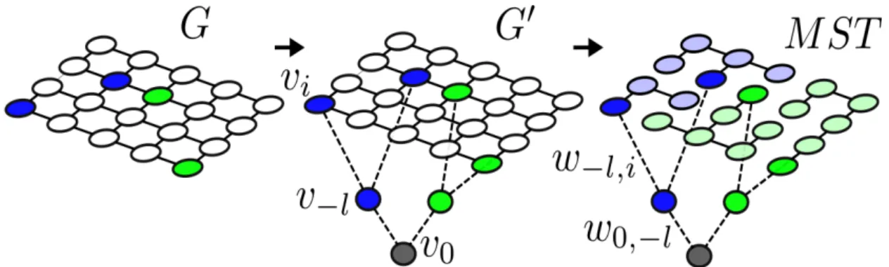 Figure 1.2: Seeded image segmentation using minimum spanning trees. The image nodes which the user has seeded (blue, green) are connected to virtual seed nodes v −l which in turn are connected to a virtual root node v 0 